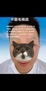 相学中眉毛稀少的人运势