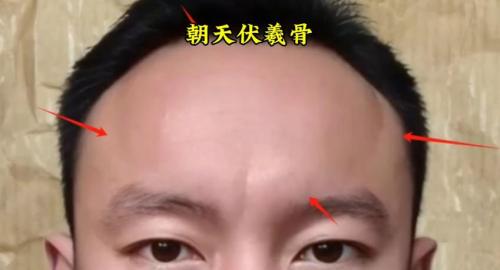 顶级伏犀骨 朝天伏犀骨大勇机智