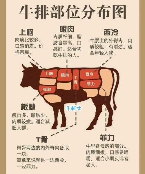 属牛人的软肋是什么 什么生肖压制属牛人