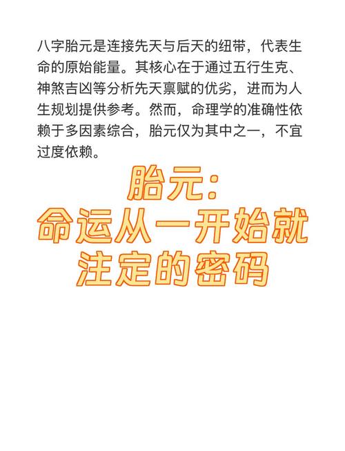 胎元论命