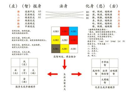 全新体相解析 了解更多资讯