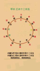 八字十天干长生