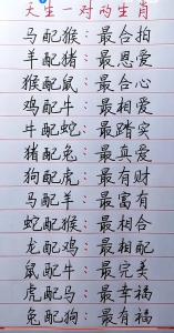 受别人宠爱的生肖 被偏爱的三大生肖