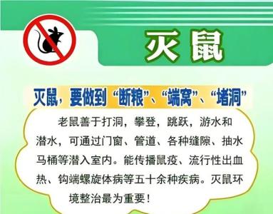 属鼠人不能犯的禁忌