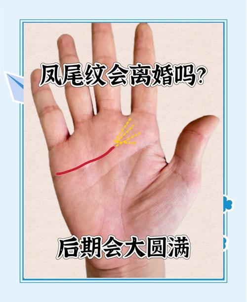 罕见凤尾纹手纹女人会旺夫吗