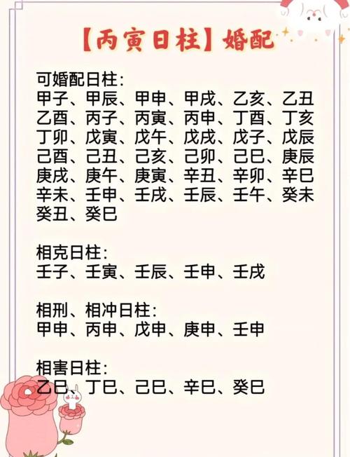 乙卯日柱配偶 己卯丙寅日柱