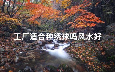 厂里面种植什么风水好