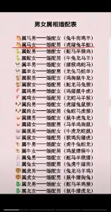 80年石榴木命男人能娶的女人 属猴之人与属龙之人相配