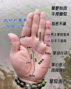 《手相学习百科》：手相看财运和好运
