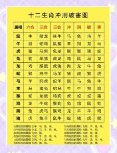 生肖配对和八字配对哪个准