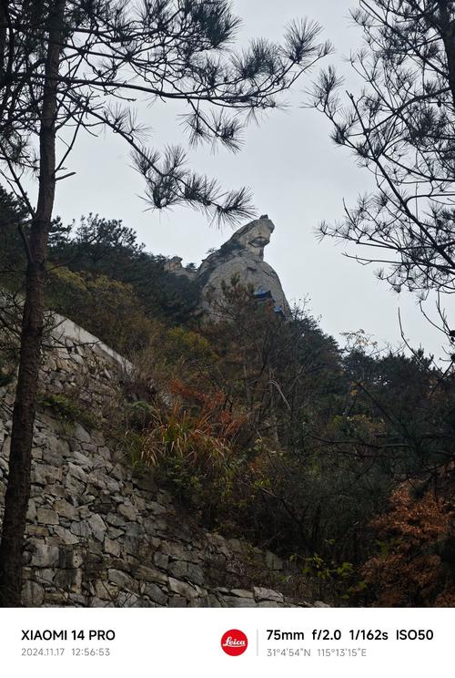 四川凌云山风水宝地，有神龟庇佑？