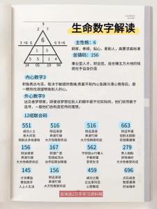 生命灵数8的女人怎么遇见真命