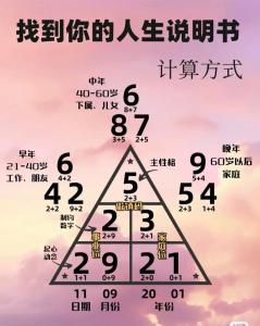生命灵数5的人如何
