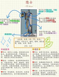 生命灵数9要学会什么