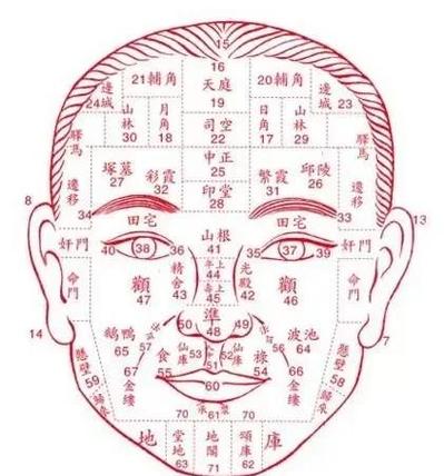 面相算命图解：最好相处的上司、老板面相