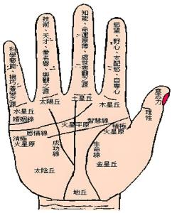 看手相算命：从五指间距看你的个性能力