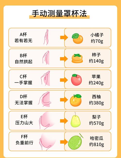 女性胸部大小看幸福指数