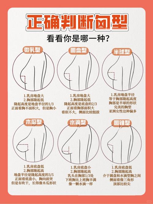 女人胸部大小决定一生命运