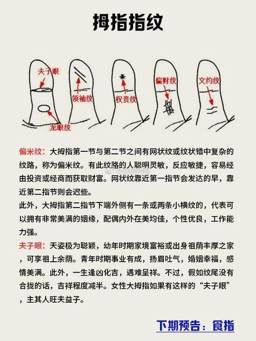 手相大拇指解析你的命运