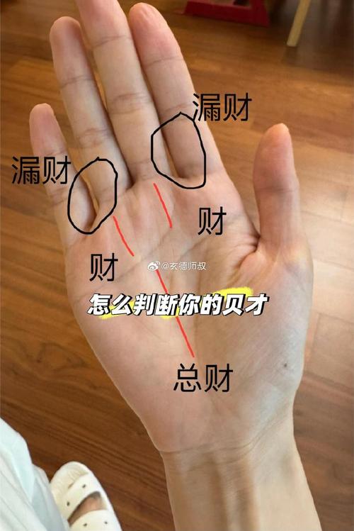 最不差钱的手相