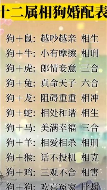 属狗男和属猴女的合不合 男狗女猴合适在一起吗