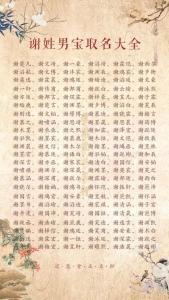 龙年谢姓男孩名字大全 龙年谢姓简单顺口的男孩名字