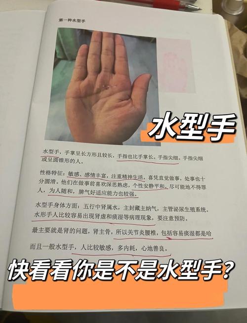 什么是水型手