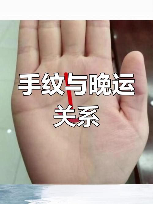 智慧线很长的人就有钱吗