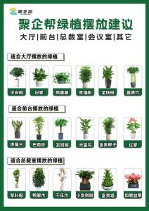 办公室摆放植物要注意的事项