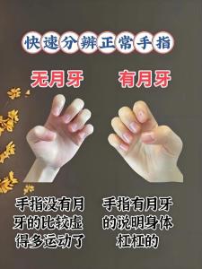 手指没有月牙代表着什么