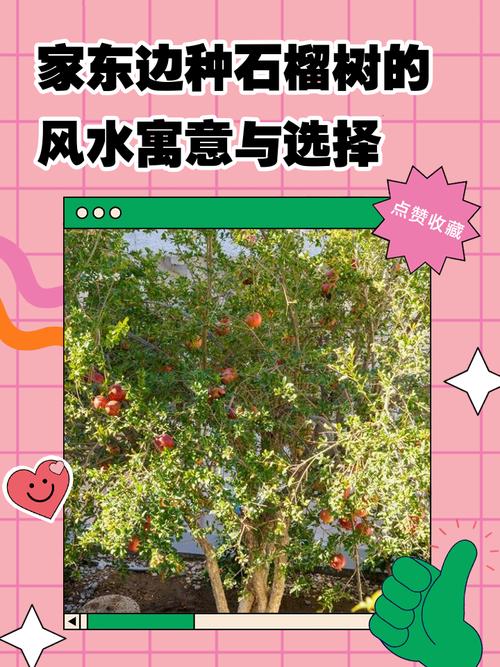 石榴木命去哪里最发财 东北方位做生意最好