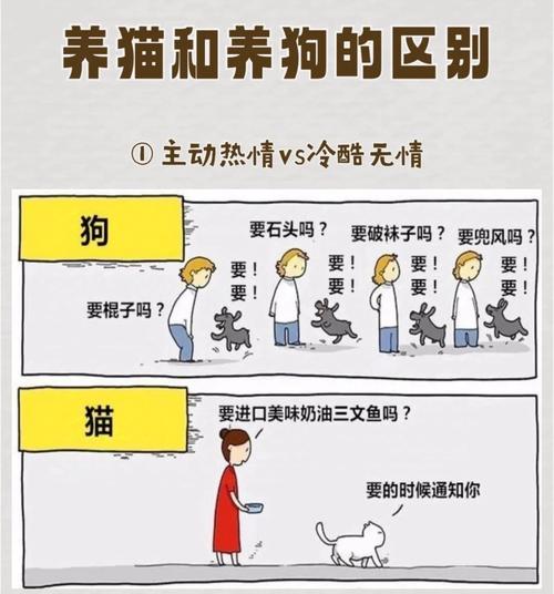 养猫和养狗的风水讲究