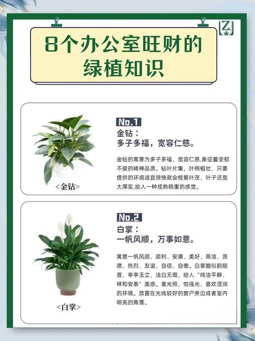办公室的植物风水知识