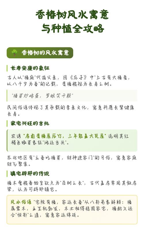 椿树在风水上的说法