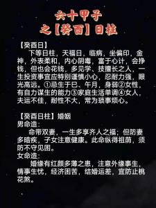 戊辰日柱配偶优秀  癸亥丁巳日柱