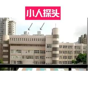 什么是小人探头