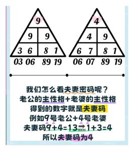 生命灵数5的婚姻幸福吗