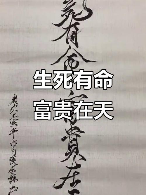 死生在命富贵由天,生死由命富贵在天是什么意思