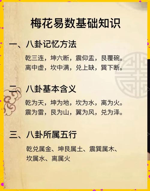 张延生梅花断卦技巧
