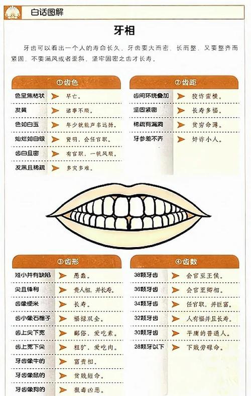 如何观牙齿知人的性格与运势?