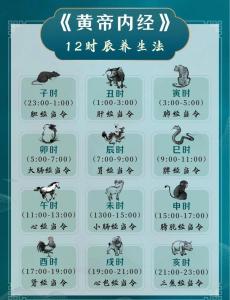 十二时辰断病法