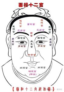 史上最全的骨相图解大全