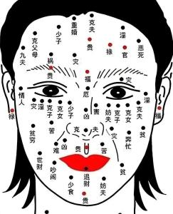 脸上哪些地方的痣不能取 人生非富即贵事业蒸蒸日上