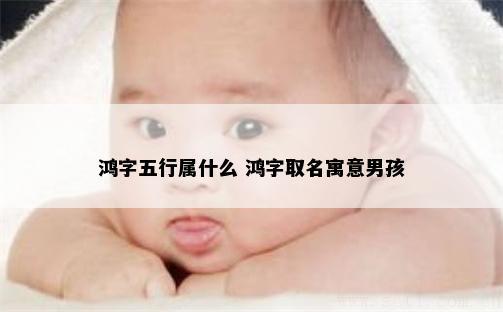 鸿字五行属什么 鸿字取名寓意男孩
