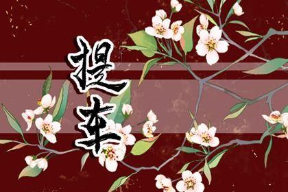 2026年农历三月十九提车日子如何 今日买新车好不好