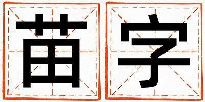 苗字取名的寓意是什么,苗字取名的含义是什么,苗字取名的意思解释