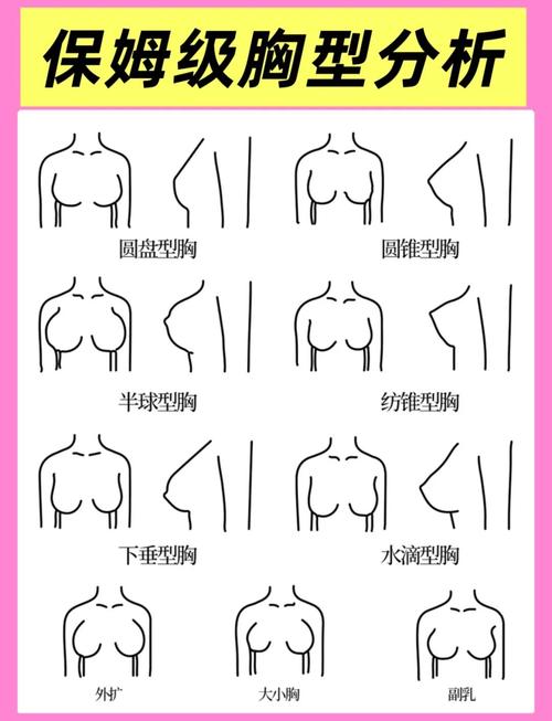 由胸部形态看女人婚姻