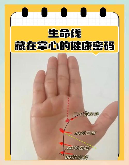 生命线短寿命就会短吗