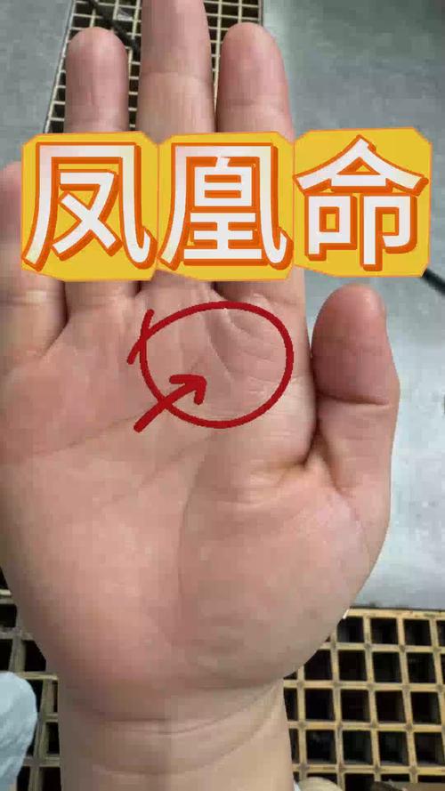 2018年会有好运的手相长啥样