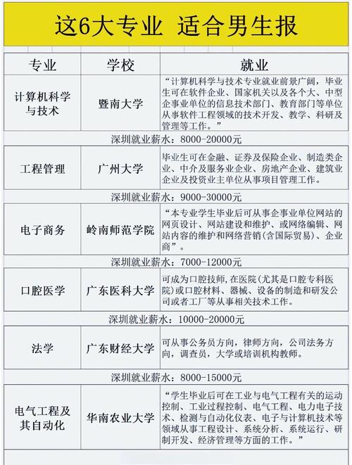 2005属鸡男孩适合学什么专业